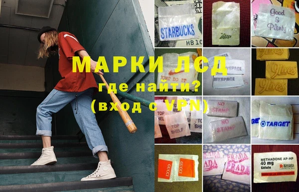 скорость Шали