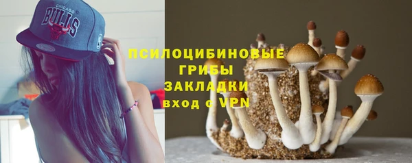 скорость Шали