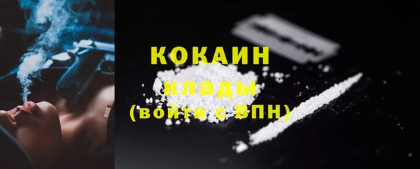 гидра Шарыпово