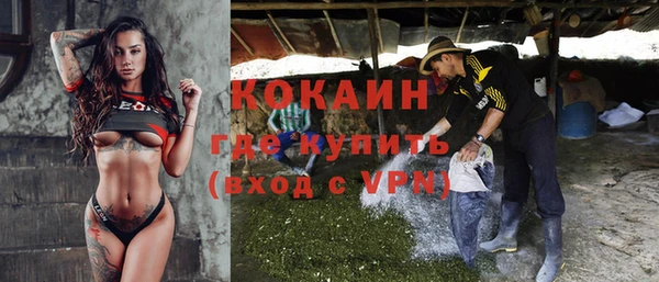 гидра Шарыпово