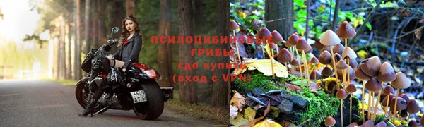 скорость Шали