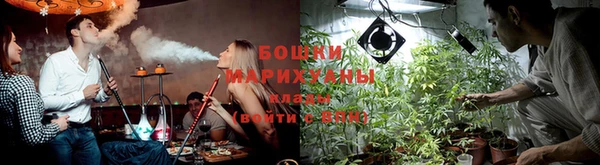 скорость Шали