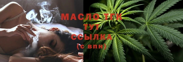 скорость Шали
