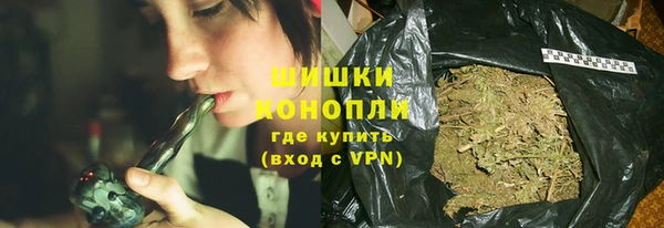 гидра Шарыпово