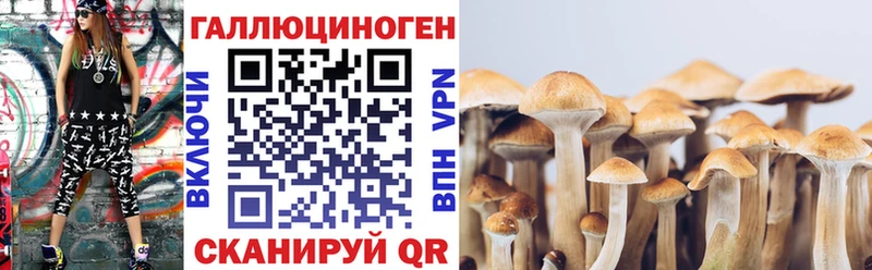 Галлюциногенные грибы MAGIC MUSHROOMS  Долгопрудный 