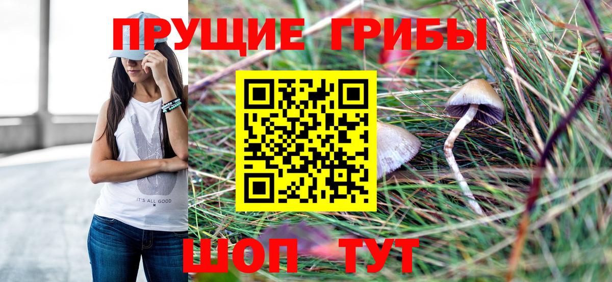 Псилоцибиновые грибы прущие грибы Долгопрудный