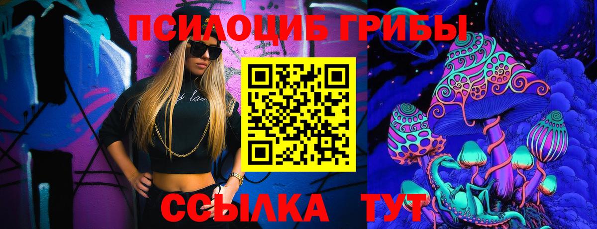 дарнет шоп  Вход с VPN  Долгопрудный  Галлюциногенные грибы прущие грибы 